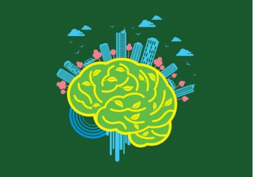 Neuroarquitetura: como produzir projetos que afetam positivamente o cérebro