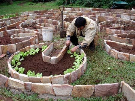 homem plantando em horta 