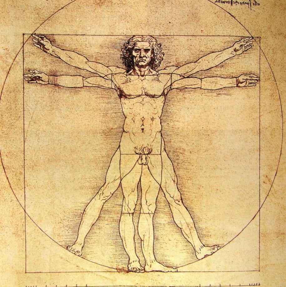 Homem Vitruviano - Leonardo da Vinci