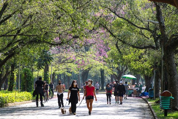 parques públicos são pontos importantes em cidades sustentáveis